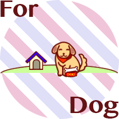 For Dog